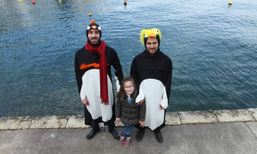familia-pinguina