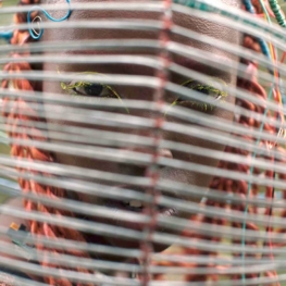 image extraite du film Neptune Frost / Saul Williams & Anisia Uzeyman